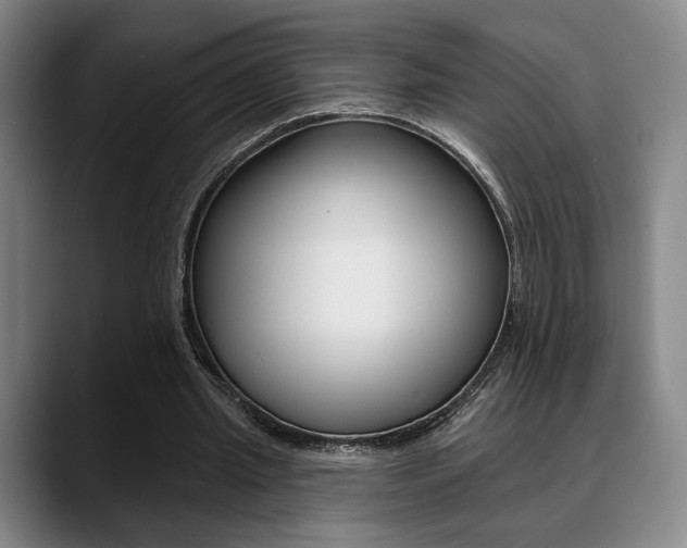 X0000089380437200706150914