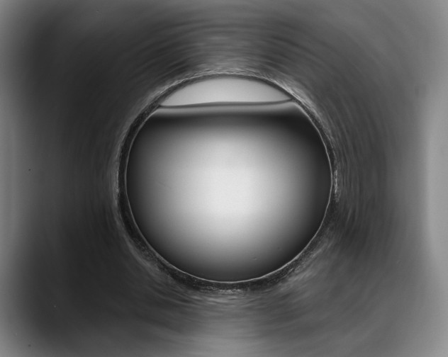 X0000089380438200706150914