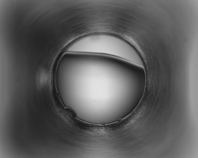 X0000089380439200706150914