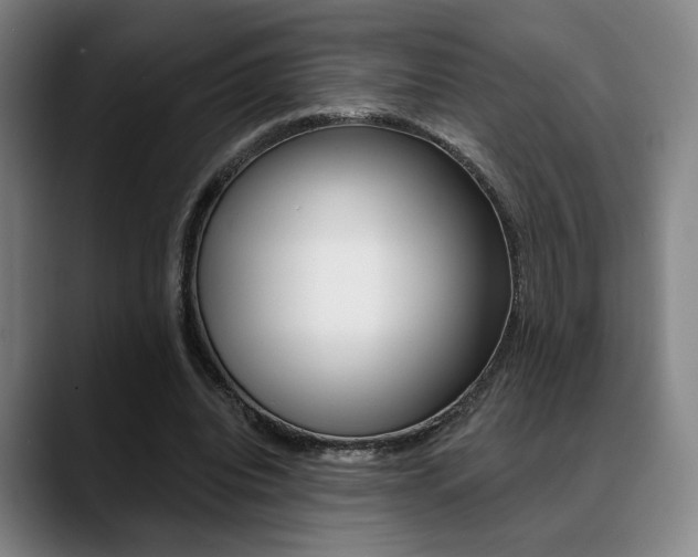 X0000089380440200706150914