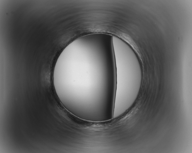 X0000089380441200706150914