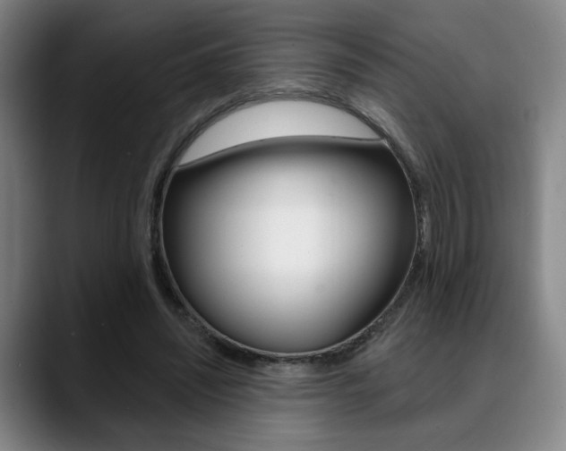 X0000089380444200706150914