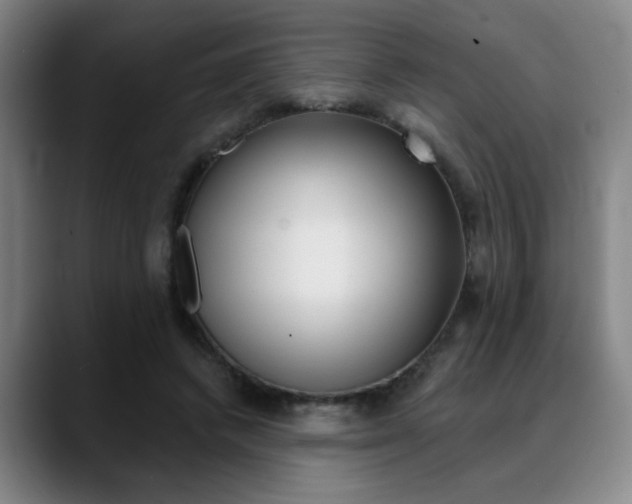 X0000089380448200706150914