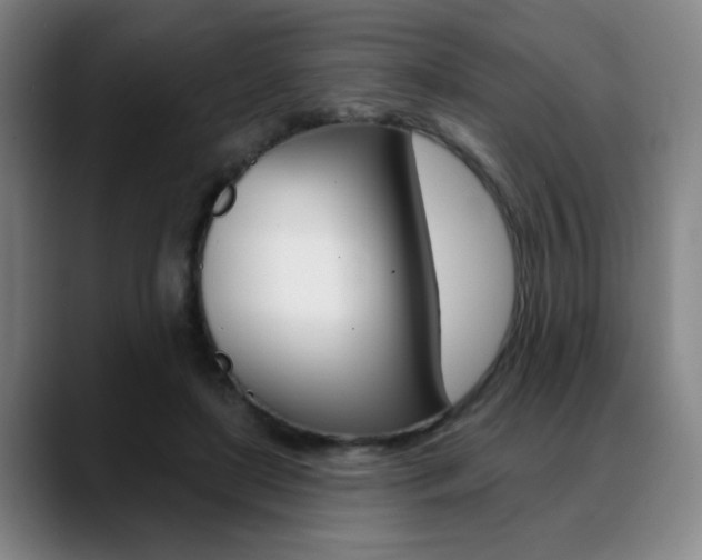 X0000089380451200706150914