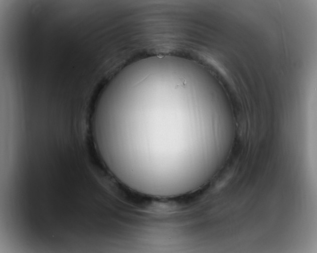 X0000089380455200706150914