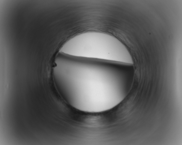 X0000089380458200706150914