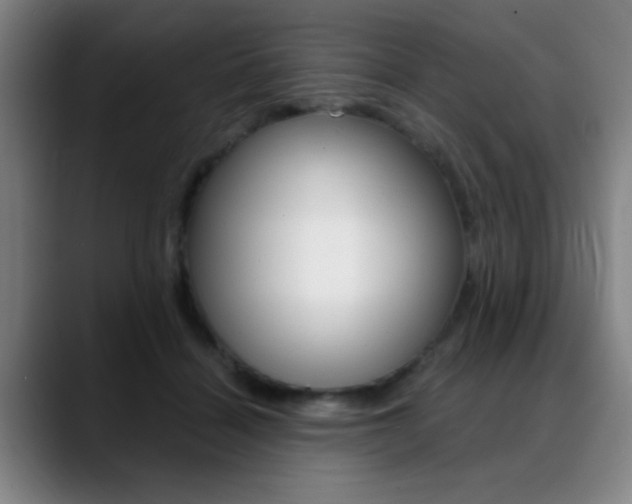 X0000089380460200706150915