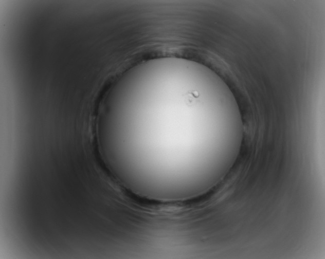 X0000089380462200706150915