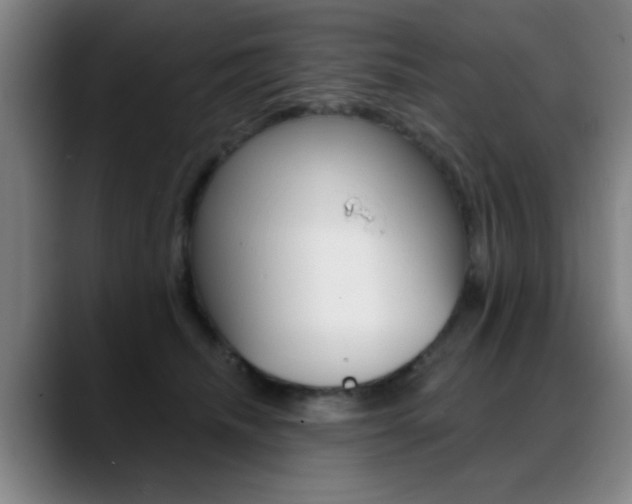 X0000089380468200706150915