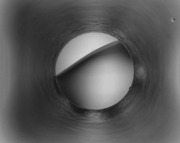 X0000089380471200706150915