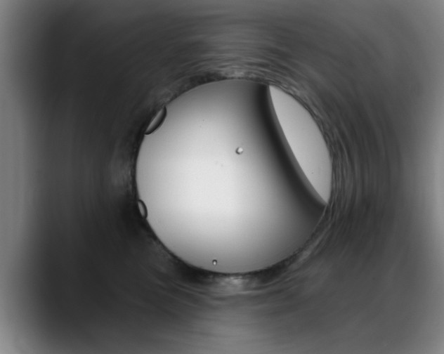 X0000089380473200706150915