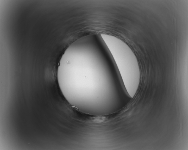 X0000089380474200706150915