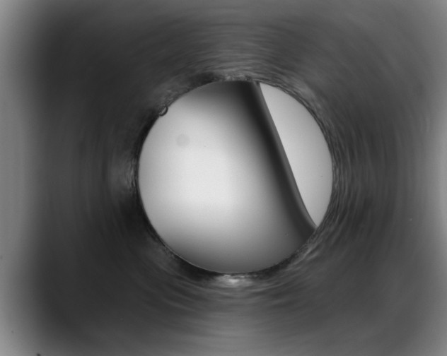 X0000089380477200706150915