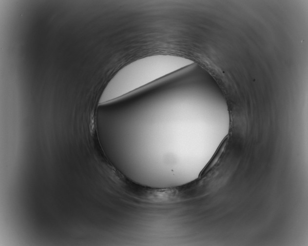 X0000089380479200706150915