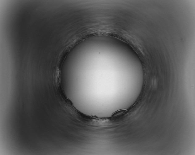 X0000089380480200706150915