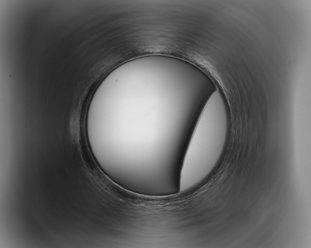 X0000089380482200706150914