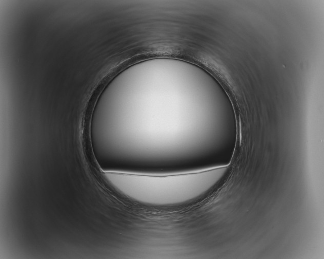 X0000089380483200706150914