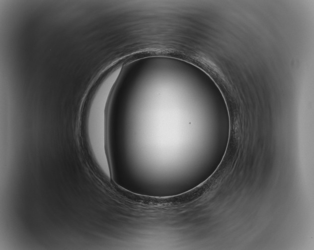 X0000089380484200706150914