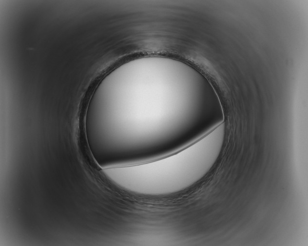 X0000089380488200706150914