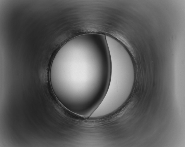 X0000089380489200706150914