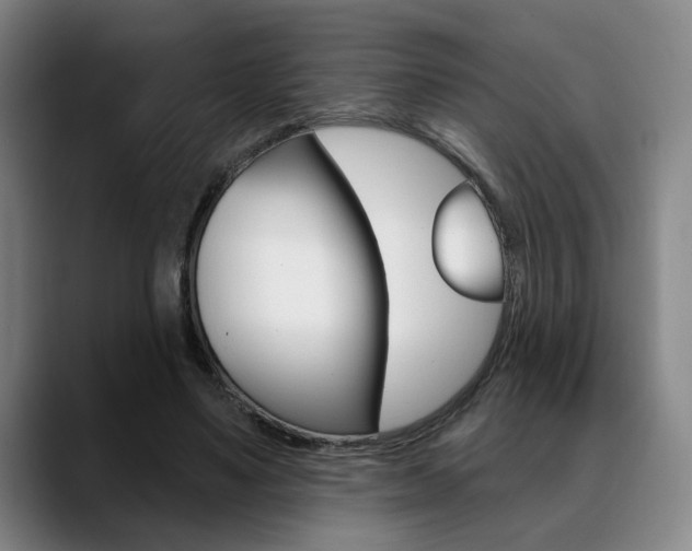 X0000089380491200706150914