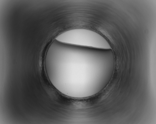 X0000089380494200706150914