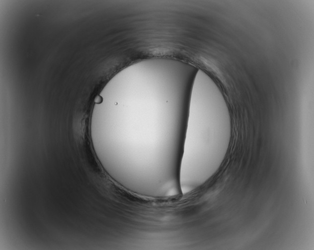 X0000089380495200706150914