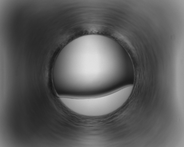 X0000089380496200706150914