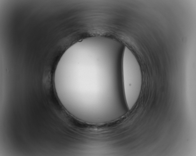X0000089380498200706150914