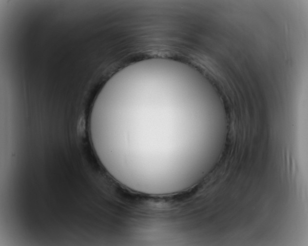 X0000089380502200706150914