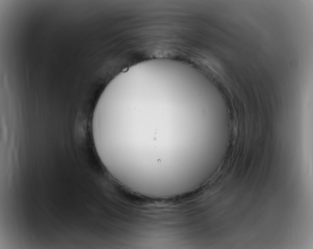 X0000089380503200706150914