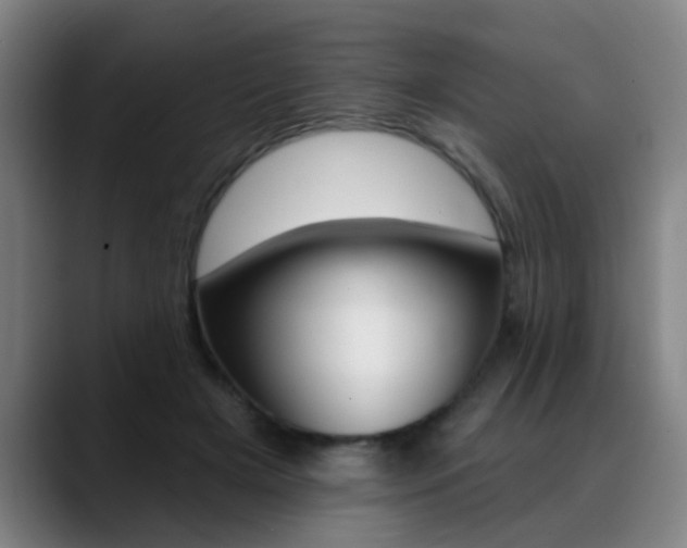 X0000089380505200706150914
