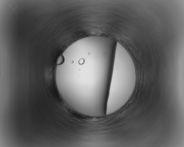 X0000089380511200706150914