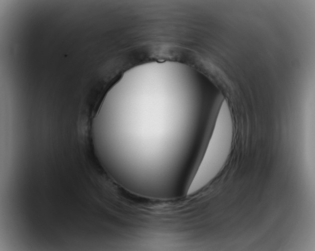 X0000089380513200706150914