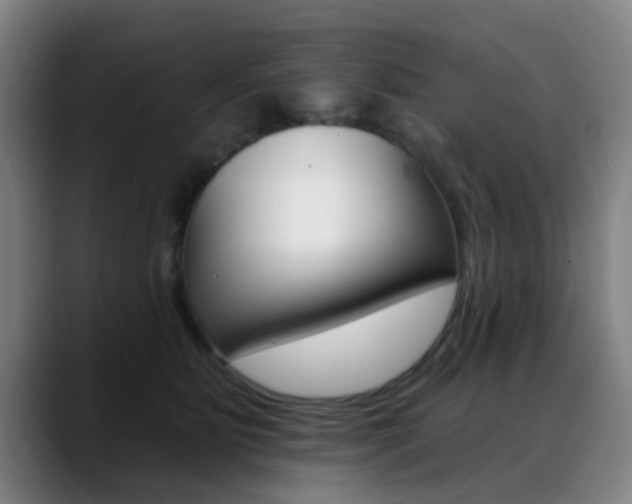 X0000089380515200706150914