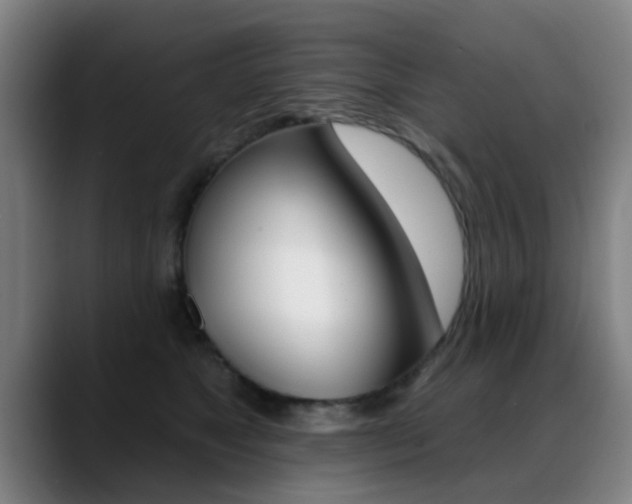 X0000089380517200706150914