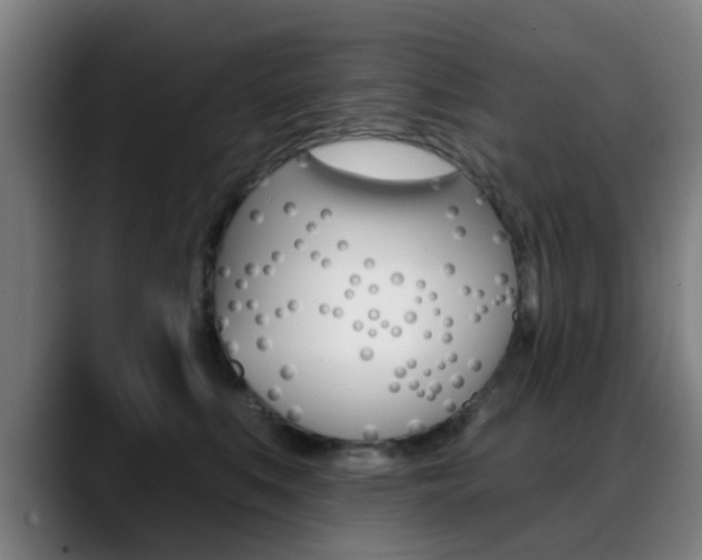 X0000089380519200706150914