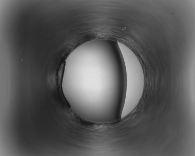 X0000089380520200706150914