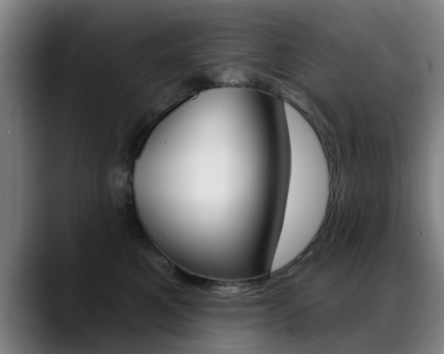 X0000089380521200706150914