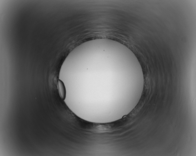 X0000089380522200706150914