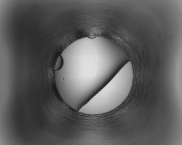 X0000089380523200706150914