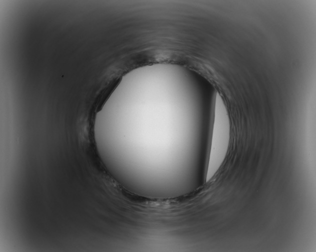 X0000089380524200706150914