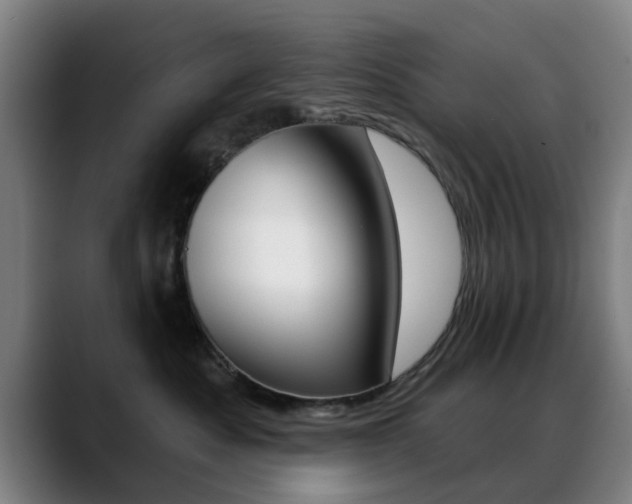 X0000089380525200706150914
