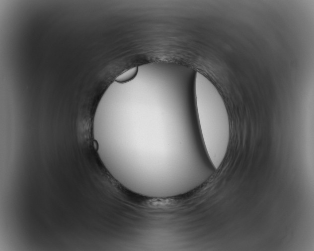 X0000089380526200706150914