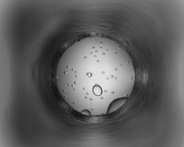 X0000089380527200706150914