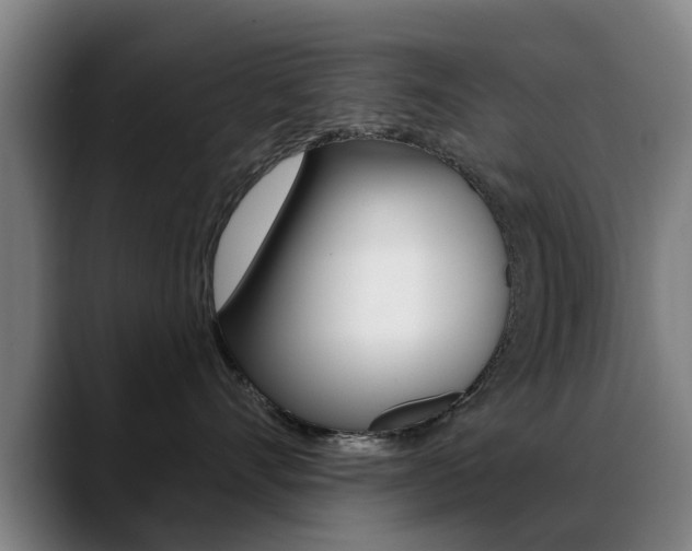 X0000089380528200706150914