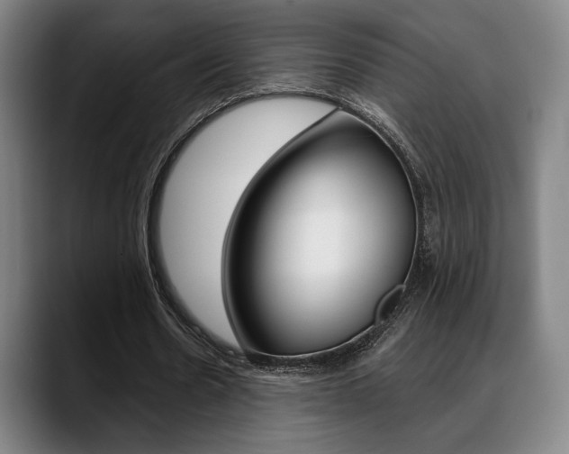 X0000089380530200706150913