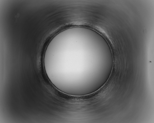 X0000089380535200706150913