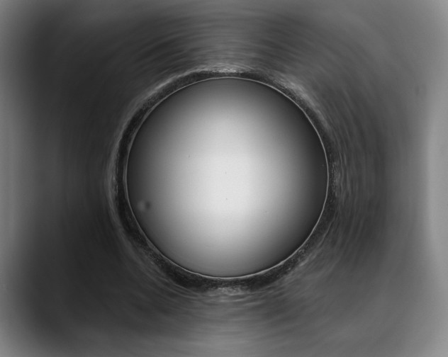 X0000089380536200706150913