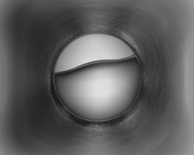 X0000089380538200706150913